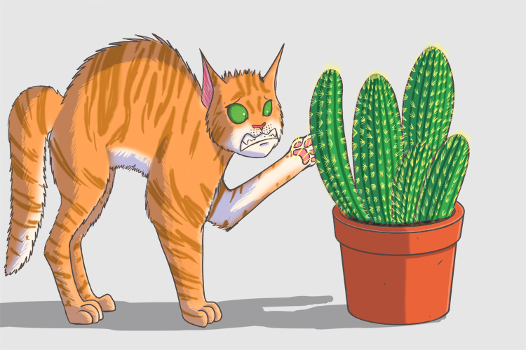 Mnemonic of a cat feeling a cactus memory aid for Felis catus